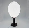 3D Printed Table Lamp, Elegant Table Lamp for Bedroom/Study, Retro Style, Ambient Night Light, USB Powered